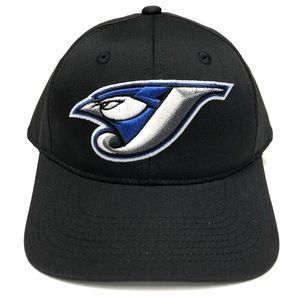 MLB Toronto Blue Jays Adjustable Snapback hat Embroidered Cap S/M